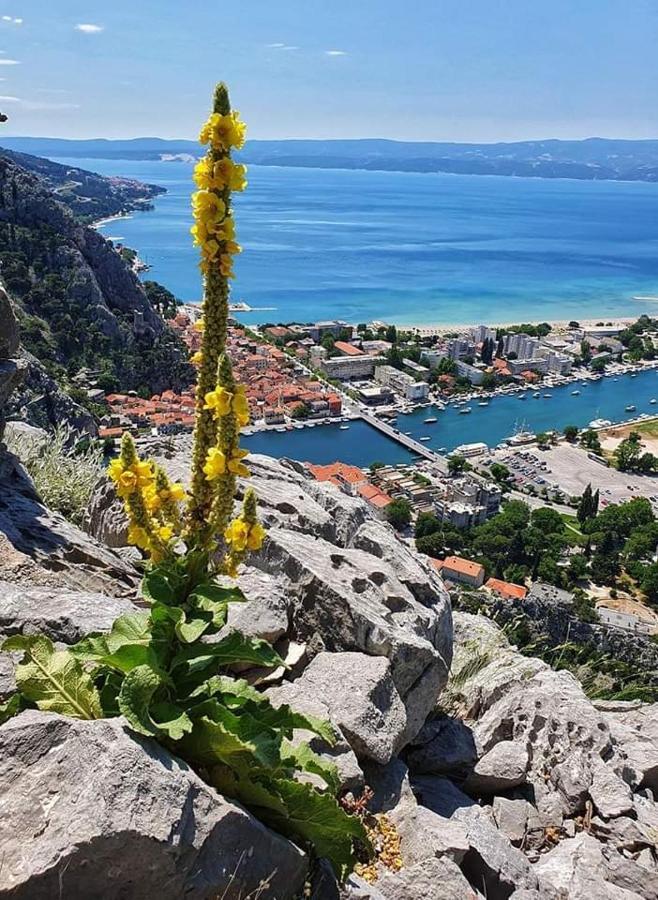 Апартаменты Amazing Sea View Омиш Экстерьер фото